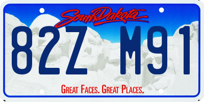 SD license plate 82ZM91