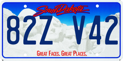 SD license plate 82ZV42