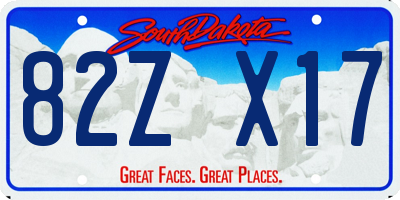 SD license plate 82ZX17