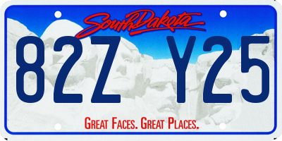 SD license plate 82ZY25