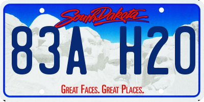 SD license plate 83AH20