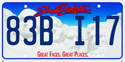 SD license plate 83BI17