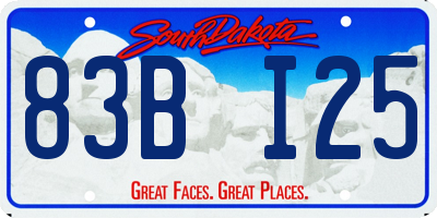 SD license plate 83BI25