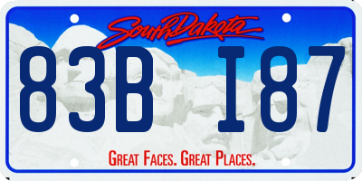 SD license plate 83BI87
