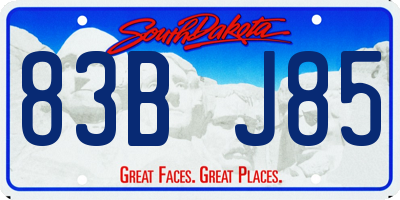 SD license plate 83BJ85
