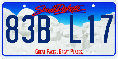 SD license plate 83BL17