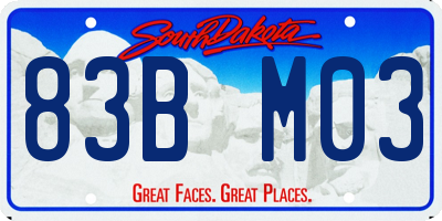 SD license plate 83BM03