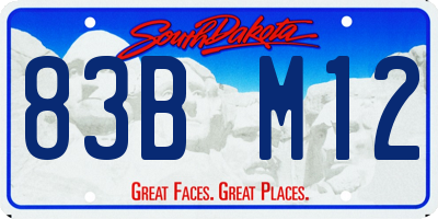 SD license plate 83BM12