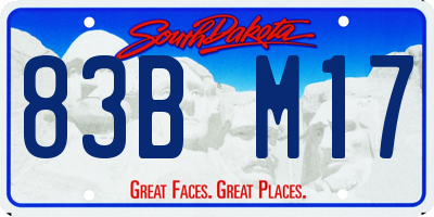 SD license plate 83BM17