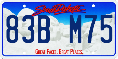 SD license plate 83BM75