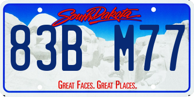 SD license plate 83BM77
