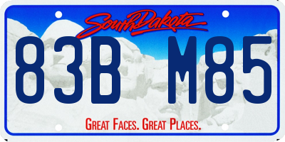 SD license plate 83BM85