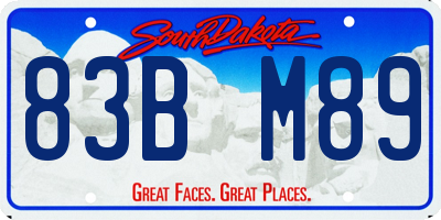 SD license plate 83BM89
