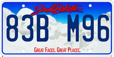SD license plate 83BM96