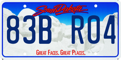 SD license plate 83BR04