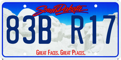SD license plate 83BR17