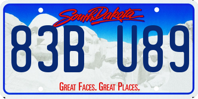 SD license plate 83BU89