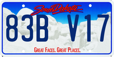 SD license plate 83BV17