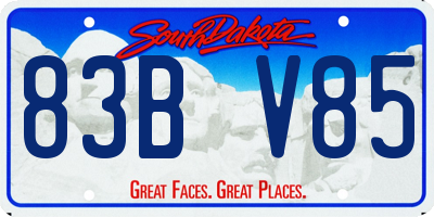 SD license plate 83BV85