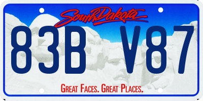 SD license plate 83BV87