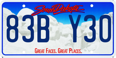 SD license plate 83BY30