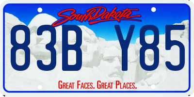 SD license plate 83BY85