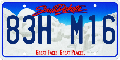 SD license plate 83HM16