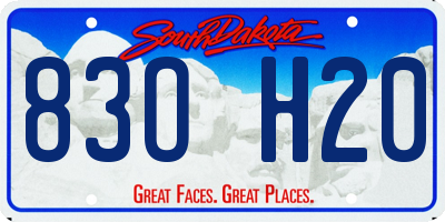 SD license plate 83OH20