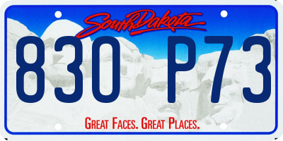SD license plate 83OP73