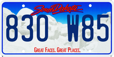 SD license plate 83OW85