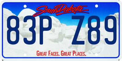 SD license plate 83PZ89
