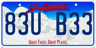 SD license plate 83UB33