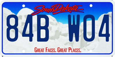 SD license plate 84BW04