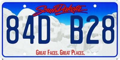 SD license plate 84DB28