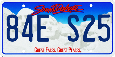 SD license plate 84ES25
