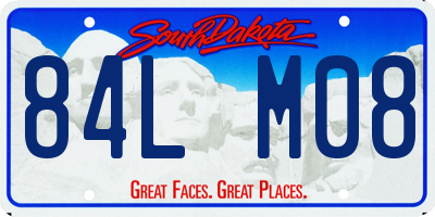 SD license plate 84LM08