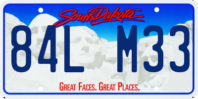 SD license plate 84LM33