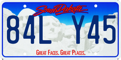 SD license plate 84LY45