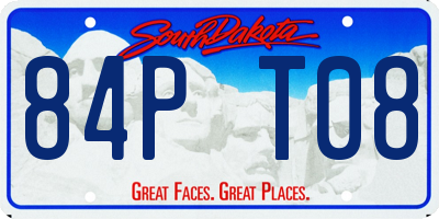 SD license plate 84PT08