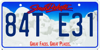 SD license plate 84TE31