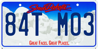 SD license plate 84TM03