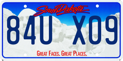 SD license plate 84UX09
