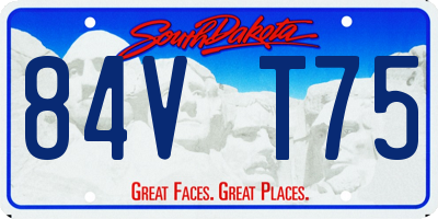 SD license plate 84VT75