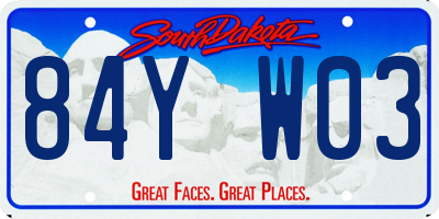 SD license plate 84YW03