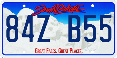SD license plate 84ZB55