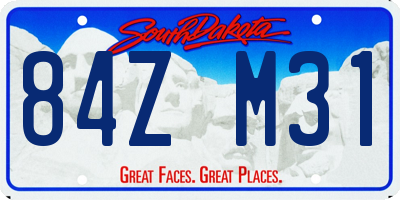 SD license plate 84ZM31