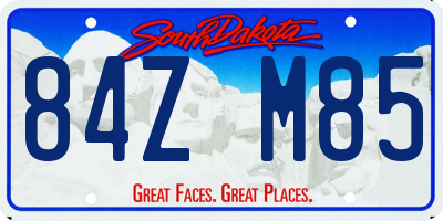 SD license plate 84ZM85