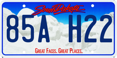 SD license plate 85AH22