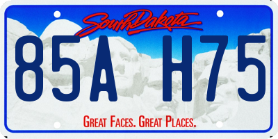 SD license plate 85AH75