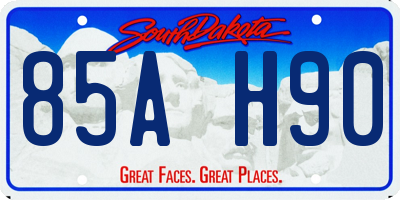 SD license plate 85AH90
